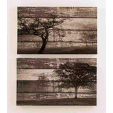 Wall Art Accent A8000047.